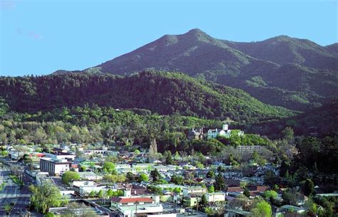 Top 10 Best Animal Removal in San Anselmo, CA .